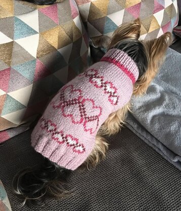 Dog Sweater with Hearts