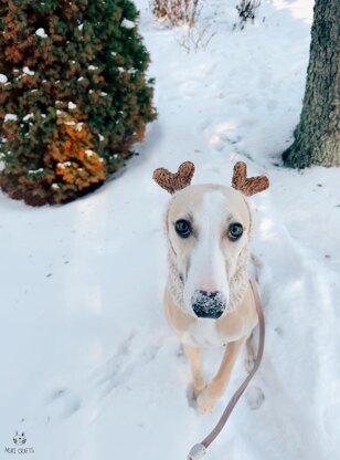 Doggo no 7 snood