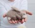 Knitted Mini Rabbit Toy