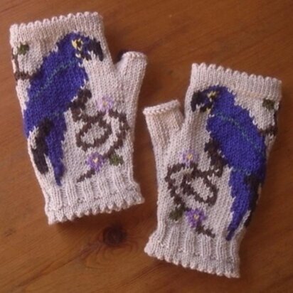 Blue Macaw in the Flowers fingerless mitts