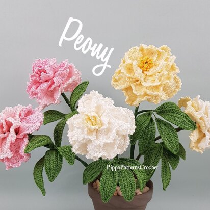 Peony