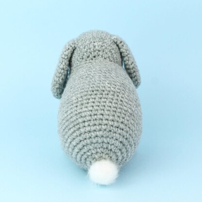 Dwarf rabbits