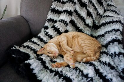 Biscuit Blanket