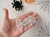 Spider and web earrings