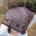 Filet à Papillons Shawl