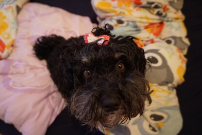 Häkelanleitung Haarschleife für euren Hund