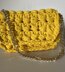 Crochet and the Sunshine Bag