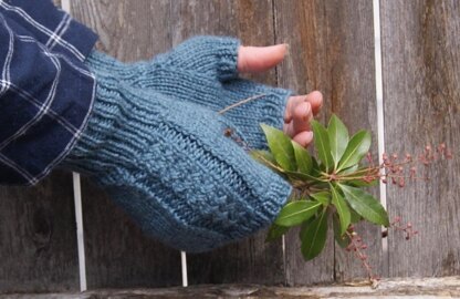 Blue Hill Mitts