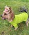 Lime Dog or Cat Sweater