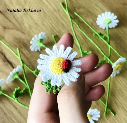 Chamomile flower and ladybug