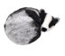 The Crafty Kit Company Sleepy Badger Needle Felting Kit - 190 x 290 x 94mm