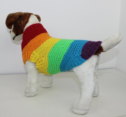 Chunky Spectrum Dog Coat