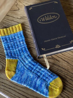 Bookish Socks