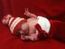 Candy Cane Topper