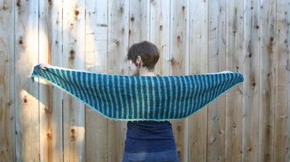 Pinstripe Shawl