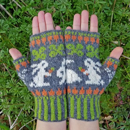 Carrot Brunch Mittens