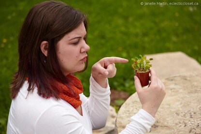 Audrey II