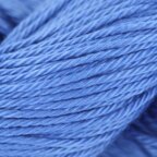 Blueberry (3800)