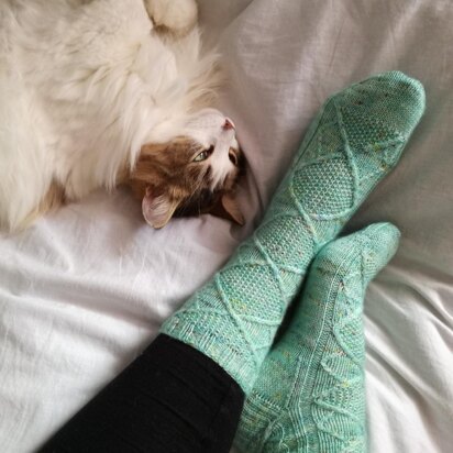 Watering Socks - knitting pattern