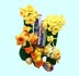 Daffodil holders:chocolate orange, cream egg etc