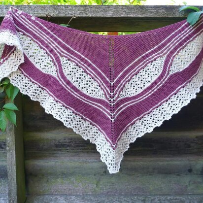 Aeshna Shawl