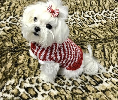 Peppermint Puppy Dog Sweater