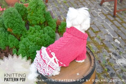 Lace cherry dress for dog