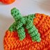 Baby Pumpkin Hat