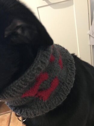 Dog bone cowl