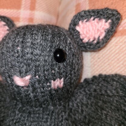 Echo the Baby Bat