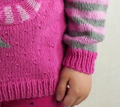 Cascade Yarns DK601 Cat & Mouse Sweater (Free)