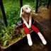 Respectable Mr. Rabbit