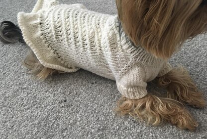Knitted Dress for Dogs