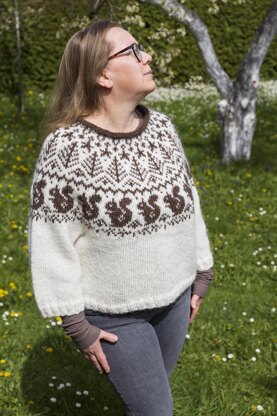 SQUIRREL Icelandic Lopapeysa Sweater for Adults and Kids