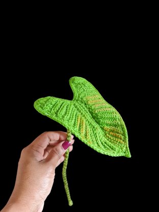 Crochet Elephant ear/Zebrina plant