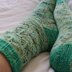 Kurrajong Socks