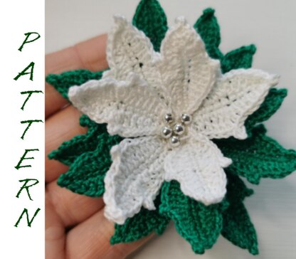 Christmas Poinsettia white flower pattern