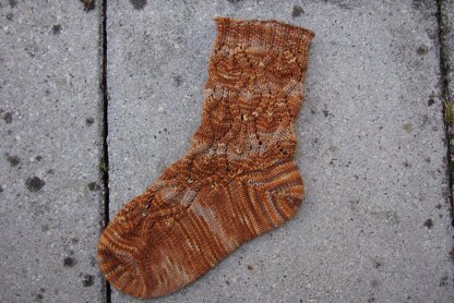 Ekollon Sock