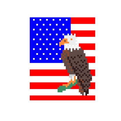 USA Patriotic Eagle Chunky Blanket Pattern: Finger Knitting Tutorial (PDF Pattern)