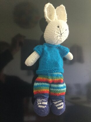 rainbow shorts and tee shirt on a rabbit