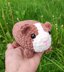Plush Guinea Pig