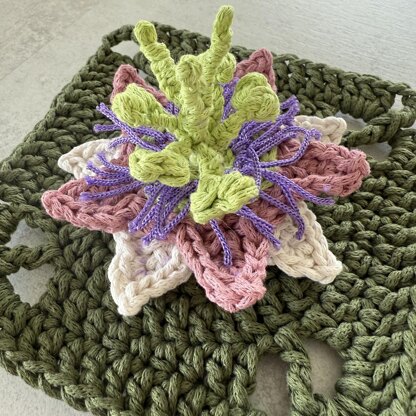 Passion Flower Granny Square