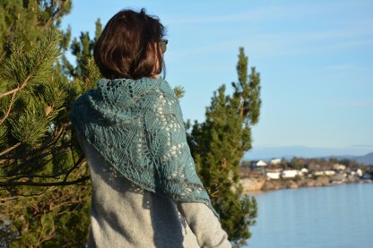 Icelandica Shawl