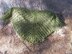 Dudley Do Wright Shawl
