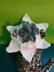 Flower (Lily) Cat Hat