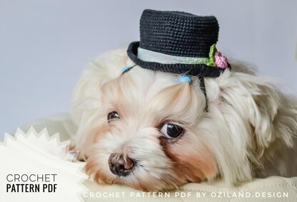 Wedding top hat for dog