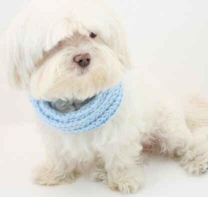 P03 Knit Dog Cowl