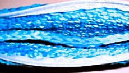 Cosmetic Bag - Zippered