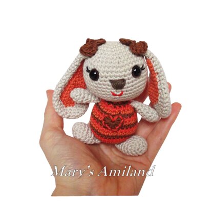 Amigurumi Girl and Boy Bunnies The Amis