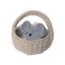 Squeaky Mouse in a Basket
